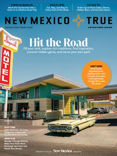 New Mexico True Brochure