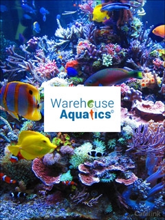 Warehouse Aquatics Newsletter