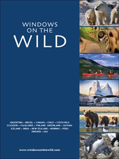 Windows on the Wild - Adventure Holidays Brochure