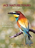 Ace Wildlife Tours Brochure cover from 08 February, 2017