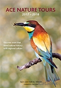 Ace Wildlife Tours Brochure cover from 14 February, 2017