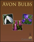 Avon Bulbs Catalogue cover from 11 September, 2012