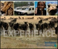 Destination Connect - Safaris Brochure cover from 26 August, 2011