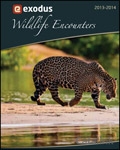 Exodus Wildlife Encounters Brochure cover from 14 December, 2012