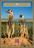 Page & Moy - Wildlife and Culture Collection Brochure cover from 23 February, 2011