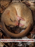Peoples Trust for Endangered Species Newsletter cover from 30 September, 2010