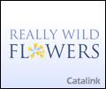 Really Wild Flowers Newsletter cover from 20 August, 2008