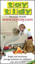 Toy Tidy Newsletter cover from 27 February, 2009
