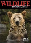 Wildlife Worldwide Brochure cover from 16 December, 2008