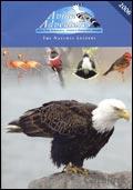 Avian Adventures Brochure cover from 01 September, 2005