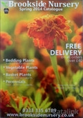 Brookside Nursery Ltd Catalogue cover from 24 October, 2014