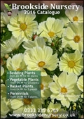 Brookside Nursery Ltd Catalogue cover from 19 January, 2016