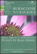 Burncoose Nurseries Catalogue cover from 03 July, 2007