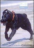 Canine Spirit Catalogue cover from 25 April, 2005