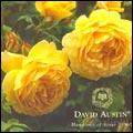 David Austin Roses Catalogue cover from 02 August, 2006