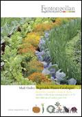 Fentongollan Farm - Vegetable Plants Catalogue cover from 13 March, 2009