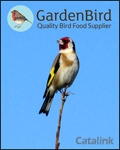 GardenBird Newsletter cover from 08 June, 2016