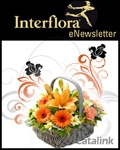 Interflora Newsletter cover from 24 August, 2011