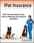 iPet Insurance Newsletter cover from 09 May, 2011