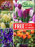 J Parkers Plants Catalogue cover from 06 February, 2018
