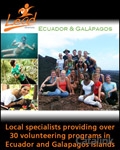 LEAD Adventures - Ecuador & Galapagos Newsletter cover from 10 January, 2012