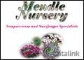 Mendle Nursery Catalogue cover from 24 January, 2005
