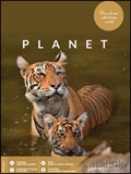Planet Cruise Brochure cover from 28 June, 2017
