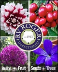 R.V. Roger Ltd Catalogue cover from 24 November, 2015