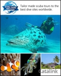 Scuba Tours Worldwide Newsletter cover from 22 July, 2013