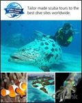 Mosaic Holidays Maldives Sri Lanka and Dubai Brochure cover from 04 March, 2014