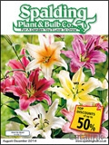 Bakker.com Garden Plants and Furniture Newsletter cover from 10 September, 2014
