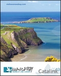 Swansea Bay Newsletter cover from 21 January, 2013