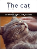 The Cat Gallery Newsletter cover from 20 February, 2018