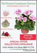 The Vernon Geranium Nursery Catalogue cover from 10 February, 2009 The Vernon Geranium Nursery Catalogue cover from 10 February, 2009