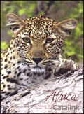 Visions of Africa Brochure cover from 07 July, 2014
