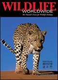 Wildlife Worldwide Brochure cover from 31 March, 2011