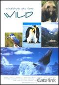 XX Never USED - Windows on the Wild Brochure