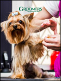 Groomers Professional Animal Grooming Catalogue