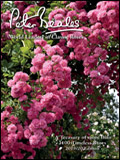 Peter Beales Roses Catalogue