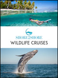 WILD CRUISES BY S2S NEWSLETTER