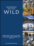 Windows on the Wild - Adventure Holidays Brochure