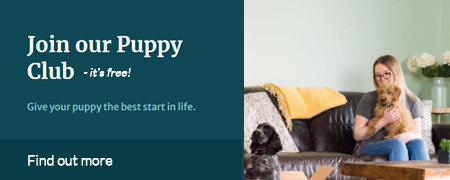 Click Here To Join the Puppy Club!