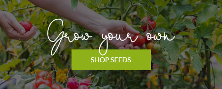 Click Here To Shop Seeds!