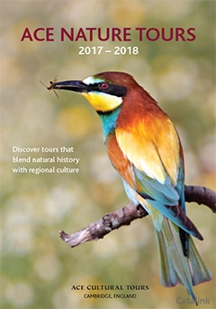 Ace Wildlife Tours