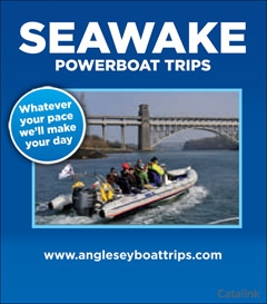 The Absolutely Group Brochure