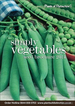 Plants of Distinction Catalogue