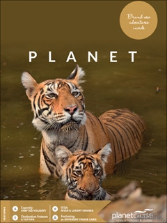 Planet Cruise