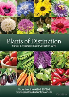 Plants of Distinction Catalogue
