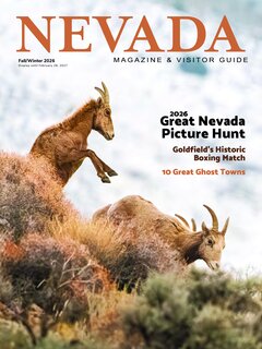 Travel Nevada Brochure