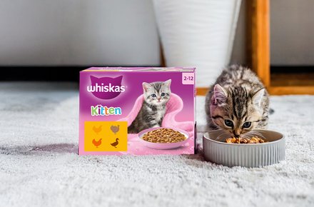 Free Whiskas Cat Food